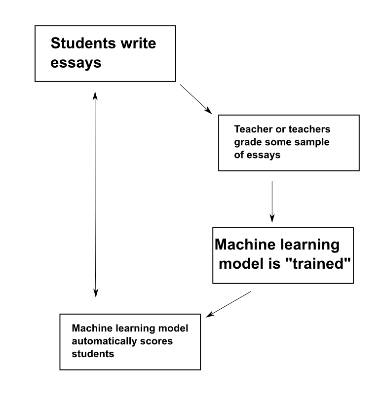 machine learning essay grader