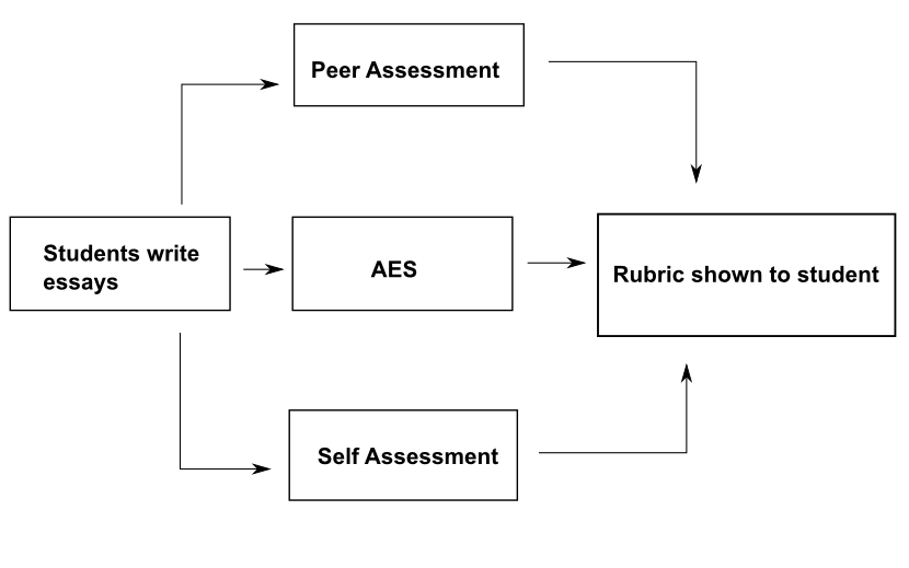 Issues related to scoring of essay type test